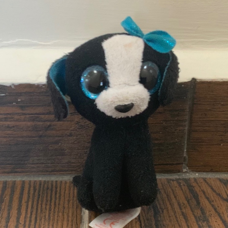 Mini perro